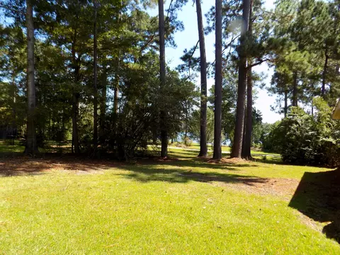40 Hillcrest Ter, Purvis, MS 39475 photo 9