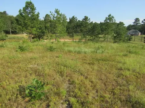 15 Mary Russell, Ellisville, MS 39437