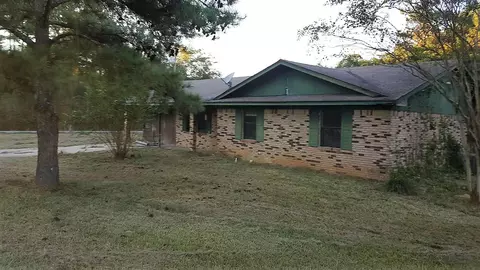 20 Wise Ln, Mount Olive, MS 39119 photo 1