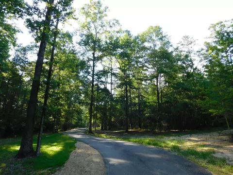 77 Browns Bridge Rd, Purvis, MS 39475 photo 59