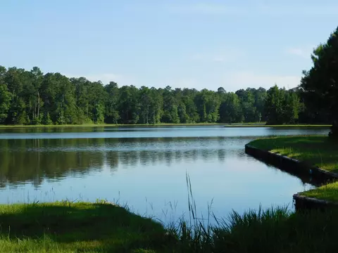 77 Browns Bridge Rd, Purvis, MS 39475 photo 60