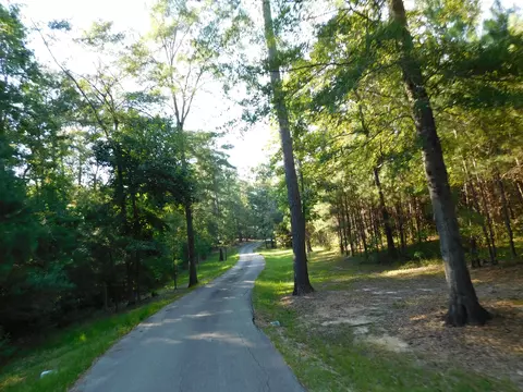 77 Browns Bridge Rd, Purvis, MS 39475 photo 58
