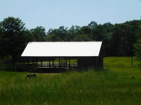 77 Browns Bridge Rd, Purvis, MS 39475 photo 49