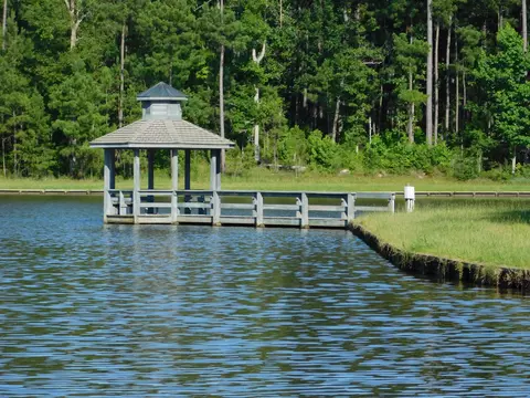 77 Browns Bridge Rd, Purvis, MS 39475 photo 50