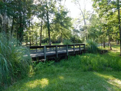 77 Browns Bridge Rd, Purvis, MS 39475 photo 53