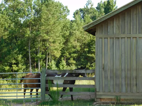 77 Browns Bridge Rd, Purvis, MS 39475 photo 54