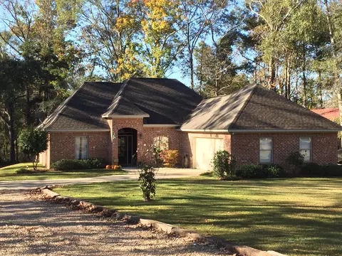 225 Old Salt Rd, Sumrall, MS 39482 photo 1
