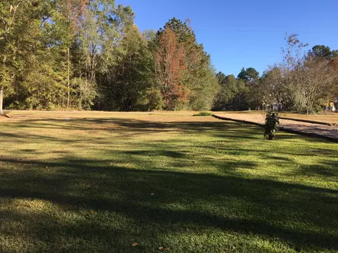 225 Old Salt Rd, Sumrall, MS 39482 photo 9