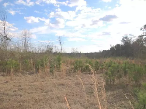 46 Floyd Strickland, Ellisville, MS 39437