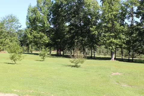 538 Poplar St, Sumrall, MS 39482 photo 37