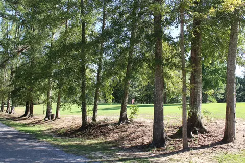 538 Poplar St, Sumrall, MS 39482 photo 40