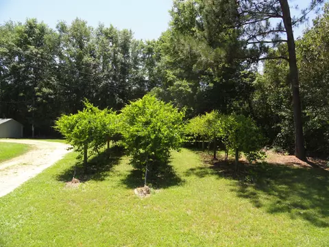 84 Mayfield Rd, Laurel, MS 39443 photo 15