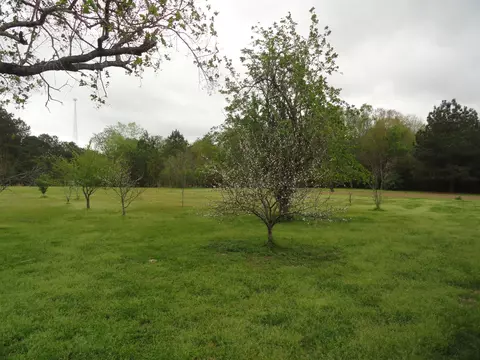 84 Mayfield Rd, Laurel, MS 39443 photo 9