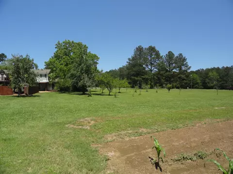 84 Mayfield Rd, Laurel, MS 39443 photo 14