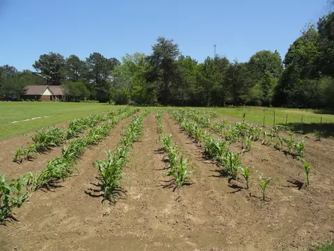 84 Mayfield Rd, Laurel, MS 39443 photo 13