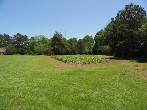 84 Mayfield Rd, Laurel, MS 39443 photo 12