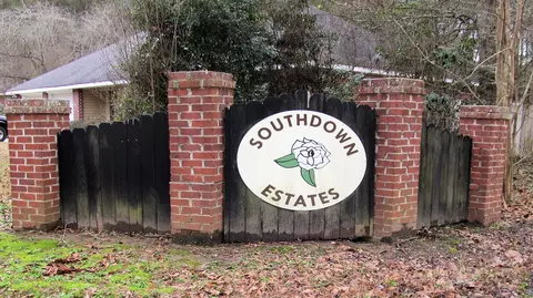 28 Southdown, Sumrall, MS 39482 photo 30