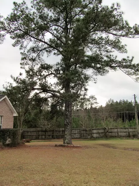 28 Southdown, Sumrall, MS 39482 photo 29