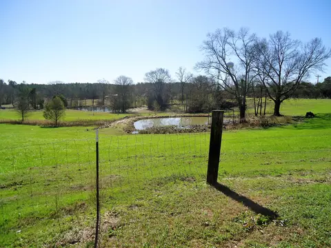 280 Mayfield Rd, Collins, MS 39428 photo 43