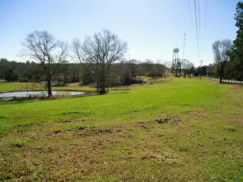 280 Mayfield Rd, Collins, MS 39428 photo 44