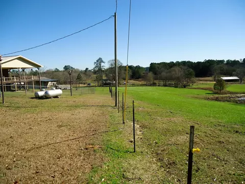 280 Mayfield Rd, Collins, MS 39428 photo 40