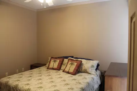 27 Palm Tree Loop, Petal, MS 39465 photo 30