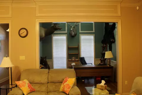 27 Palm Tree Loop, Petal, MS 39465 photo 6