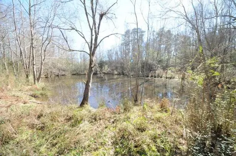 248 Conerly Rd, Oak Vale, MS 39656 photo 15