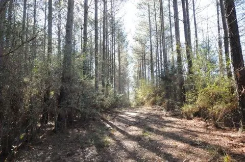 248 Conerly Rd, Oak Vale, MS 39656 photo 2