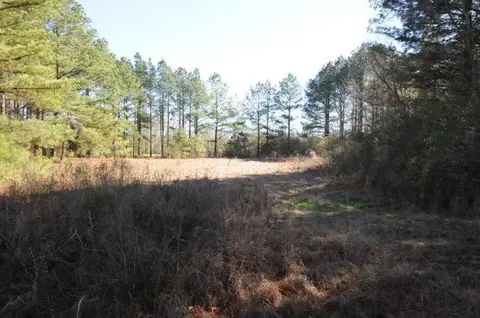 248 Conerly Rd, Oak Vale, MS 39656 photo 10