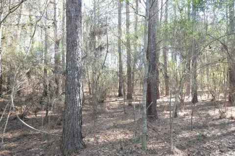 248 Conerly Rd, Oak Vale, MS 39656 photo 17