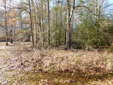 5 Par Four Dr, Purvis, MS 39475 photo 30