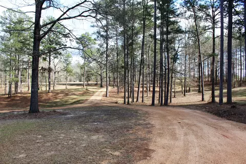 215 A Morrow Rd, Purvis, MS 39475 photo 7