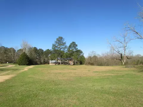 41 Pearce Rd, Mount Olive, MS 39119 photo 16