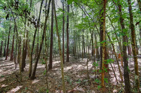 175 Ms-44, Sumrall, MS 39482 photo 15
