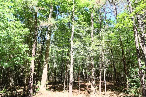 175 Ms-44, Sumrall, MS 39482 photo 18