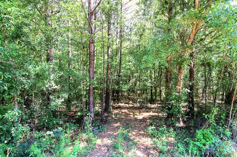 175 Ms-44, Sumrall, MS 39482 photo 6