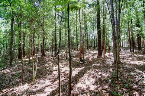 175 Ms-44, Sumrall, MS 39482 photo 13