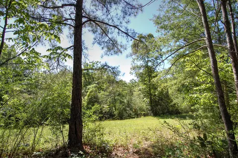 175 Ms-44, Sumrall, MS 39482 photo 11