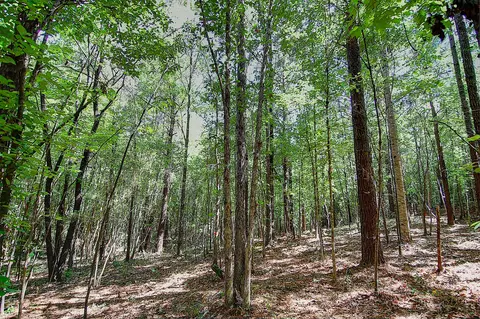175 Ms-44, Sumrall, MS 39482 photo 5