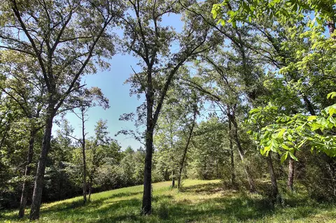 175 Ms-44, Sumrall, MS 39482 photo 12