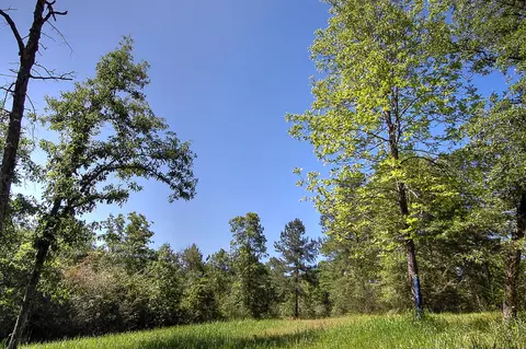 175 Ms-44, Sumrall, MS 39482 photo 9