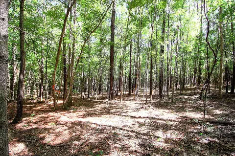 175 Ms-44, Sumrall, MS 39482 photo 1