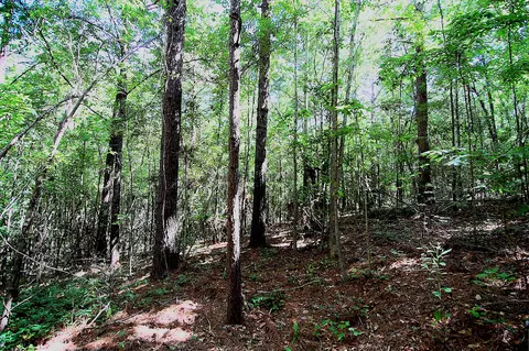 175 Ms-44, Sumrall, MS 39482 photo 22