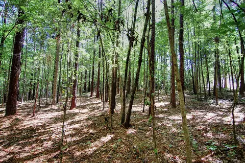 175 Ms-44, Sumrall, MS 39482 photo 8