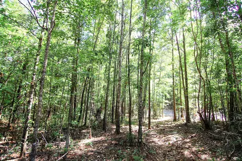 175 Ms-44, Sumrall, MS 39482 photo 2