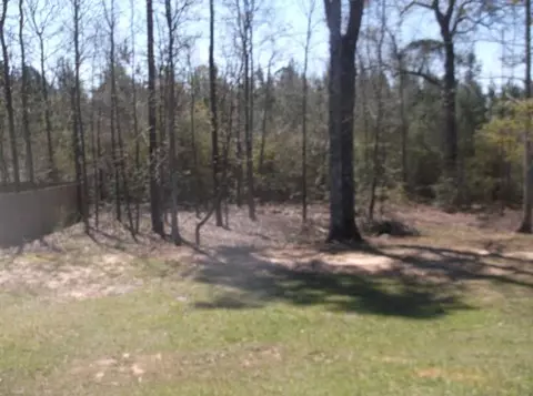 95 Hemingway, Sumrall, MS 39482 photo 13