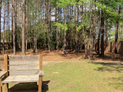 306 Lone Tree, Purvis, MS 39475 photo 35