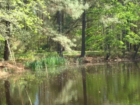 22 County Line Dr, Laurel, MS 39443 photo 38