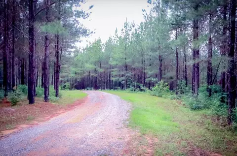 190 Big Hill Rd, Sumrall, MS 39482 photo 17